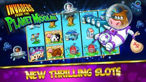 Antarmuka aplikasi toto 4d menampilkan dealer langsung blackjack di layar ponsel dengan streaming video HD